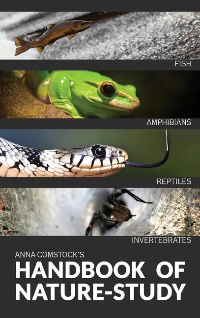 The Handbook Of Nature Study in Color - Fish, Reptiles, Amphibians, Invertebrates - Hardcover