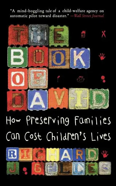 The Book of David: How Preserving Families Can Cost Children's Lives - Paperback