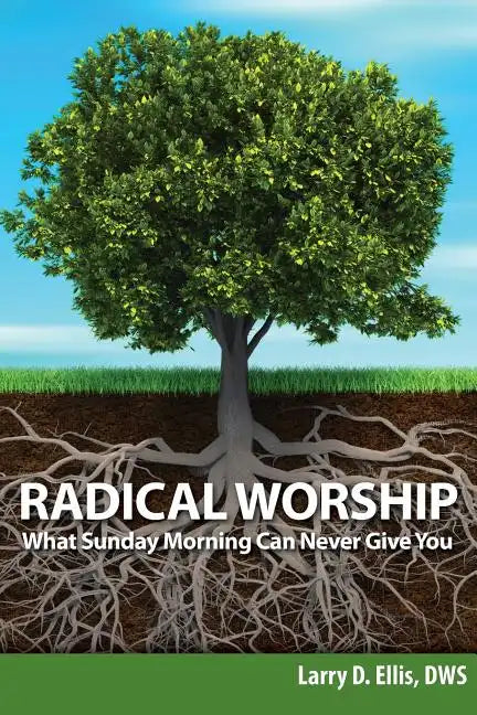 Radical Worship: What Sunday Morning Can Never Give You - Paperback