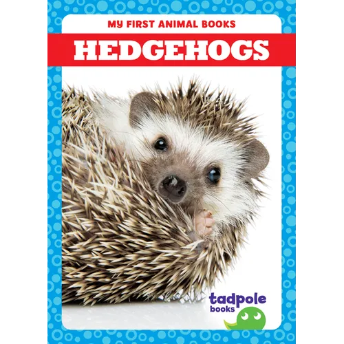 Hedgehogs - Paperback