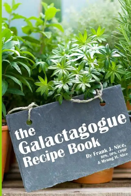 The Galactagogue Recipe Book - Paperback