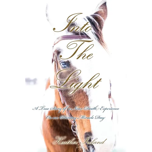 Into The Light: A True Story of a Near-Death Experience on An Ordinary Miracle Day - Paperback