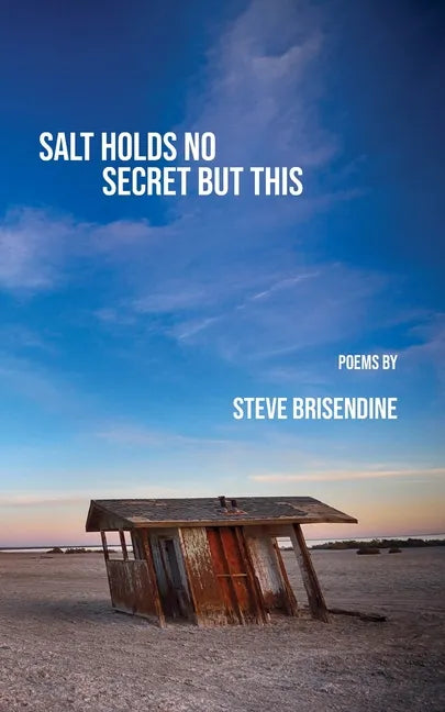 Salt Holds No Secrets But This - Paperback