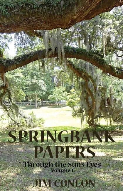 Springbank Papers: Through the Sun's Eyes - Paperback
