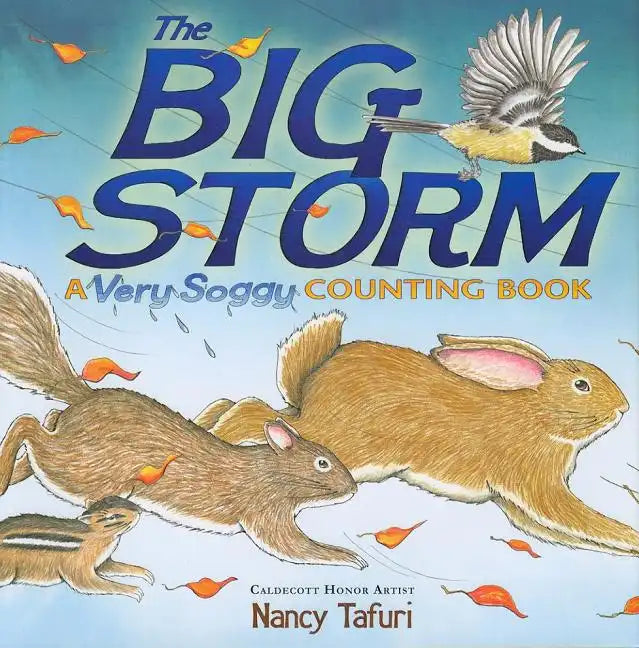 The Big Storm: A Very Soggy Counting Book - Hardcover