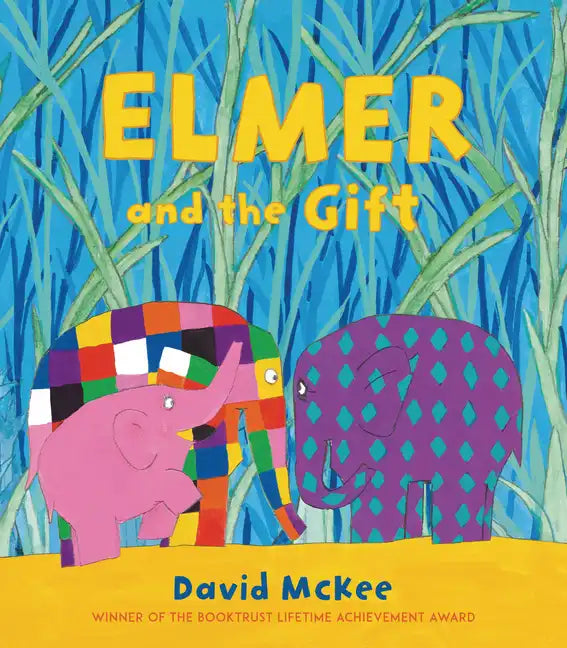 Elmer and the Gift - Hardcover