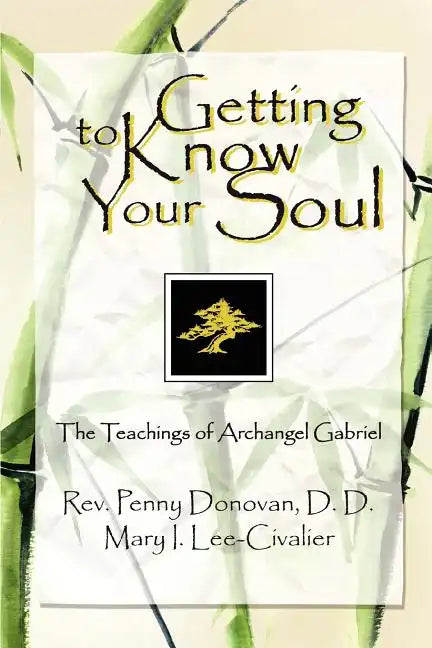 Getting To Know Your Soul: The Teachings of Archangel Gabriel - Paperback