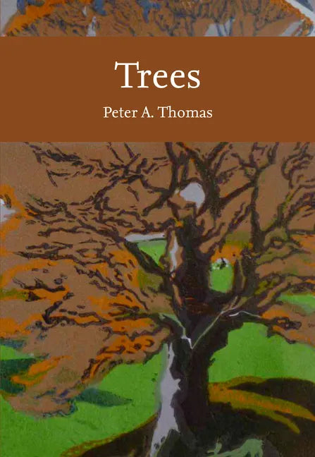 Trees - Paperback