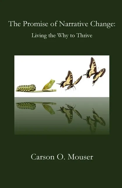 The Promise of Narrative Change - Paperback