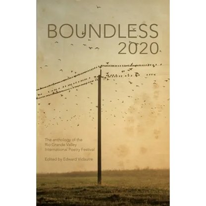 Boundless 2020: the official anthology of the Rio Grande Valley International Poetry Festival - Paperback