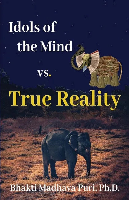 Idols of the Mind vs. True Reality - Paperback