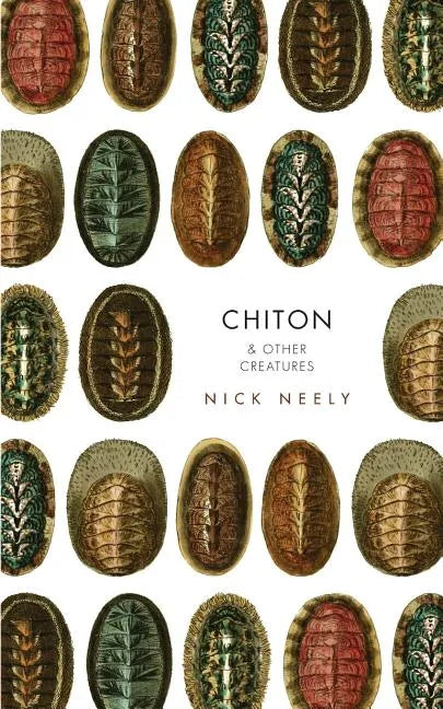 Chiton & Other Creatures - Paperback