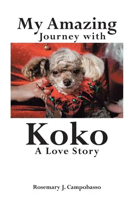 My Amazing Journey with Koko A Love Story - Paperback