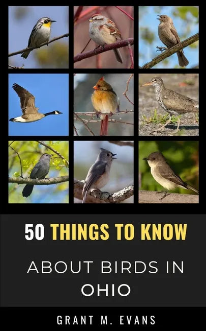 50 Things to Know About Birds in Ohio: Birdwatching in the Buckeye State - Paperback