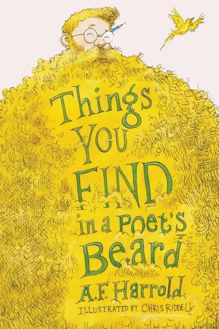 Things You Find in a Poet's Beard - Paperback