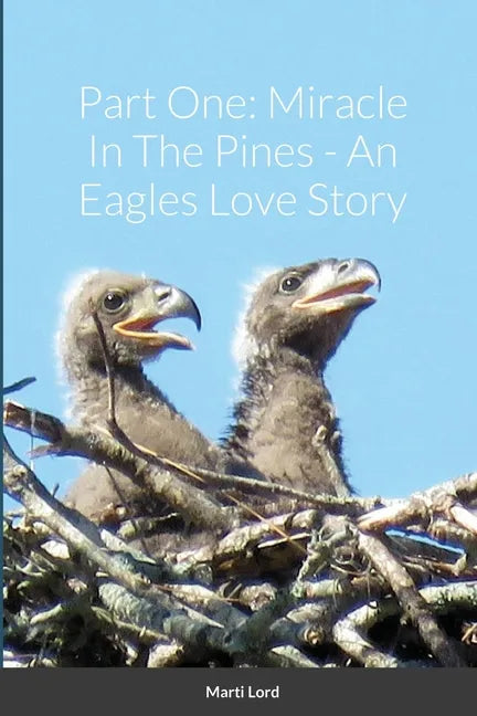 Part One: Miracle In The Pines - An Eagles Love Story - Paperback