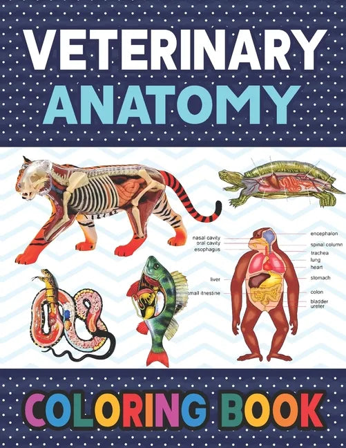 Veterinary Anatomy Coloring Book: Learn The Veterinary Anatomy With Fun & Easy. Animal Anatomy and Veterinary Physiology Coloring Book. Dog Cat Horse - Paperback