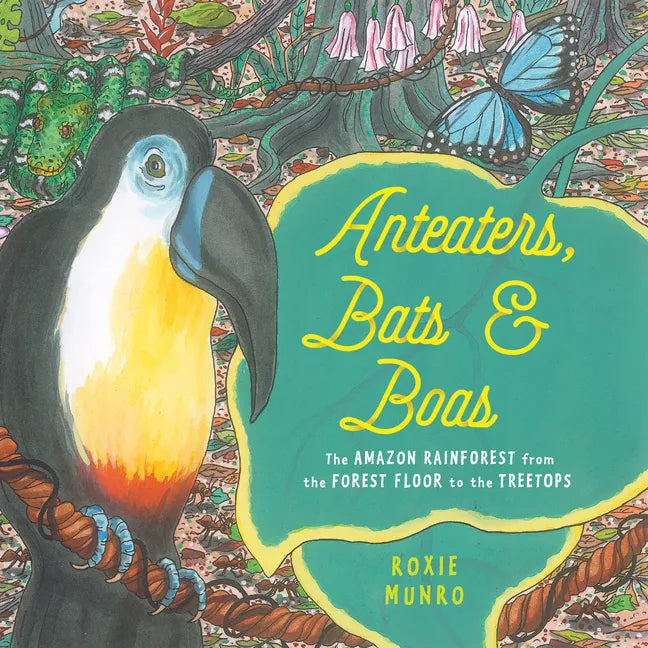 Anteaters, Bats & Boas: The Amazon Rainforest from the Forest Floor to the Treetops - Hardcover