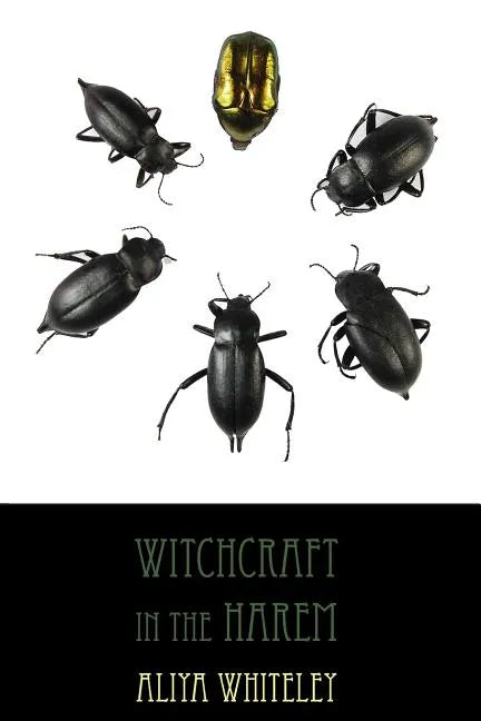 Witchcraft in the Harem - Paperback
