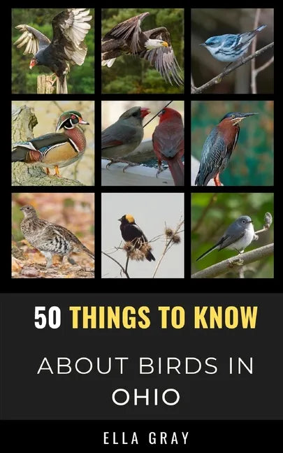 50 Things to Know About Birds in Ohio: Birding in the Buckeye State - Paperback