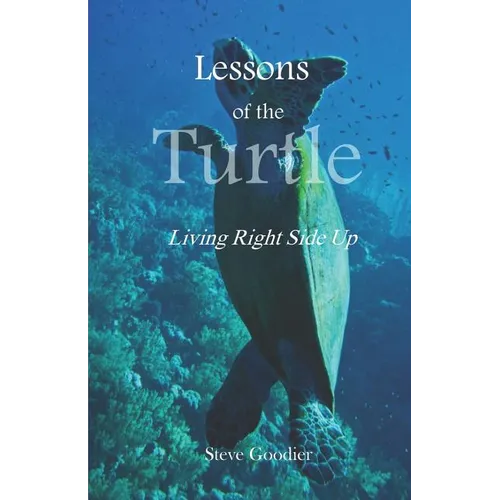 Lessons of the Turtle: Living Right Side Up - Paperback