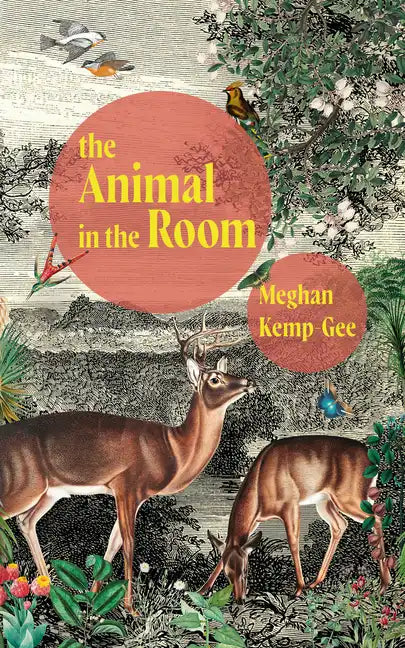 The Animal in the Room - Paperback
