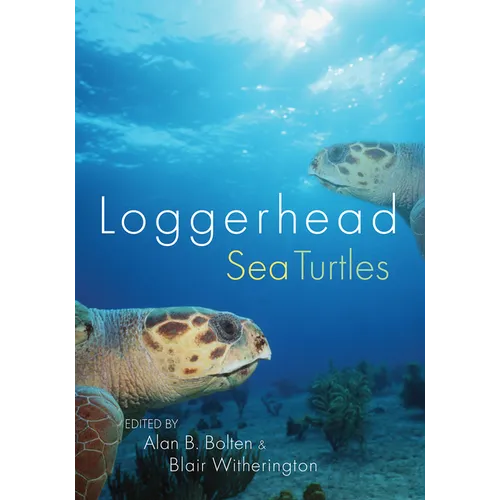 Loggerhead Sea Turtles - Paperback