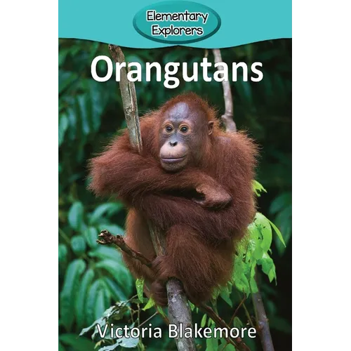 Orangutans - Paperback