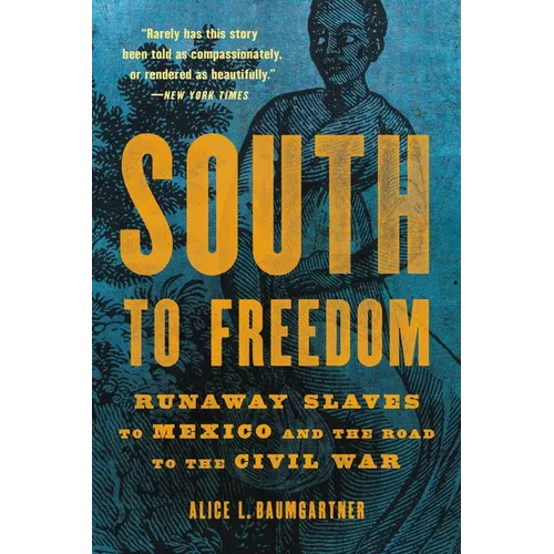 South to Freedom: Runaway Slaves to Mexico and the Road to the Civil War - Paperback