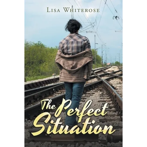 The Perfect Situation - Paperback