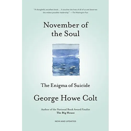 November of the Soul: The Enigma of Suicide - Paperback
