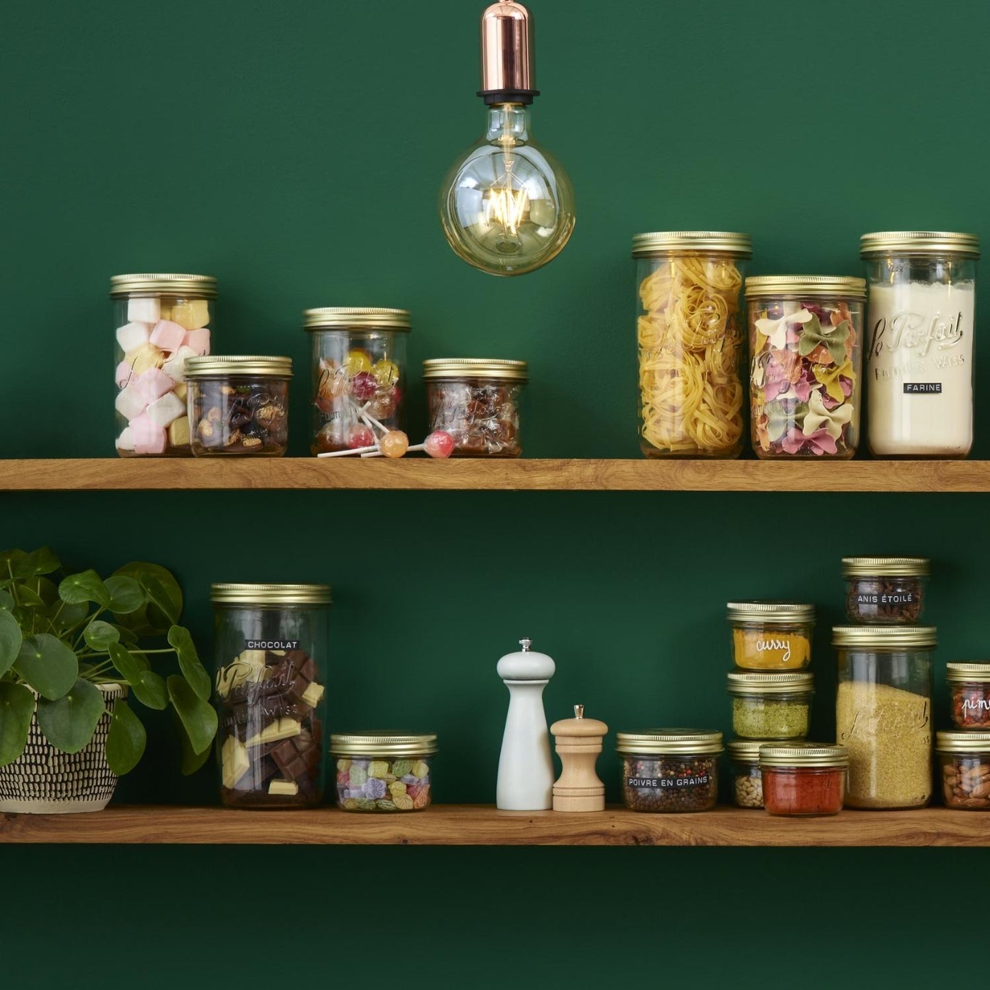 Le Parfait Familia Wiss Terrines - Wholesale
