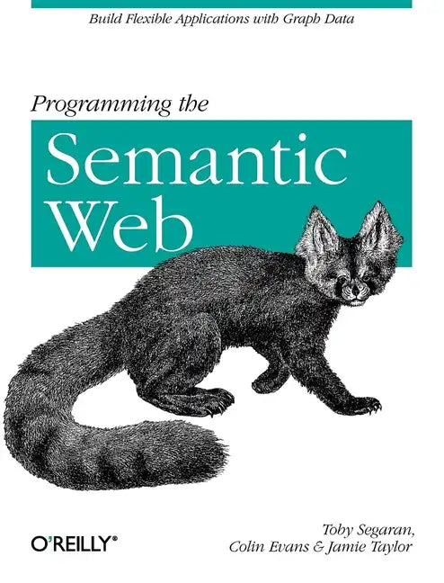 Programming the Semantic Web: Build Flexible Applications with Graph Data - Paperback
