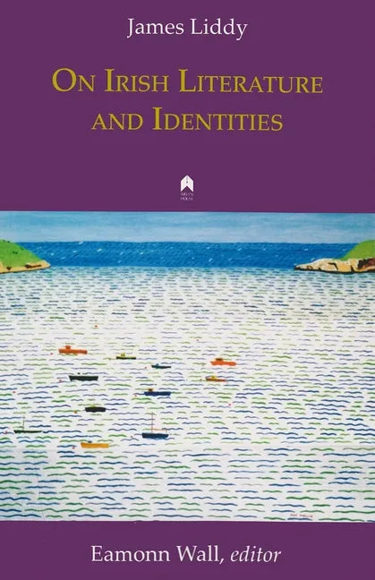 On Irish Literature and Identities - Paperback