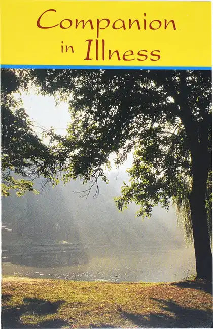 Companion in Illness - Paperback