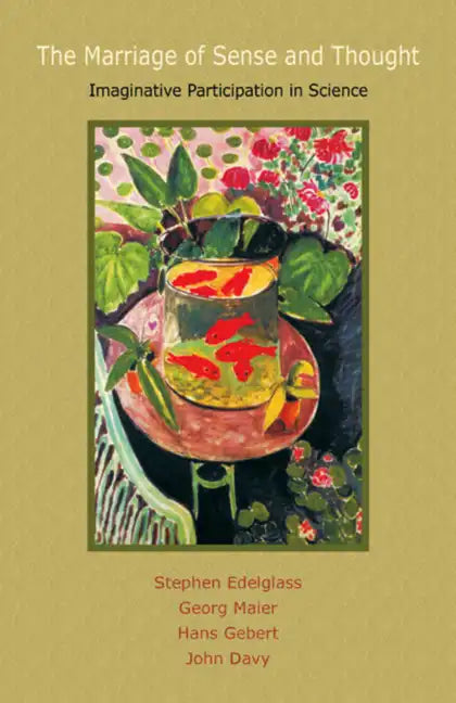 The Marriage of Sense and Thought: Imaginative Participation in Science - Paperback