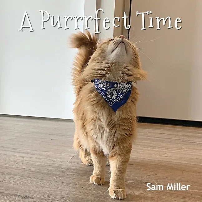 A Purrrfect Time - Paperback
