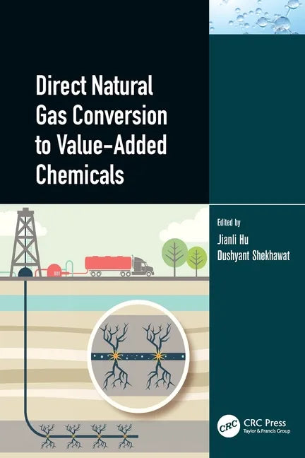Direct Natural Gas Conversion to Value-Added Chemicals - Paperback