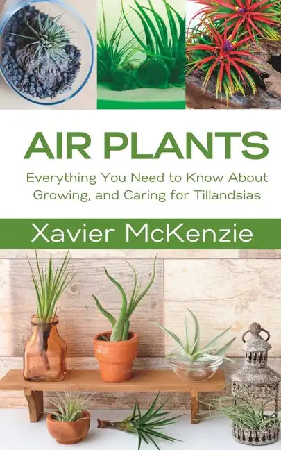 Air Plants: Everything You Need to Know About Growing, and Caring for Tillandsias - Paperback