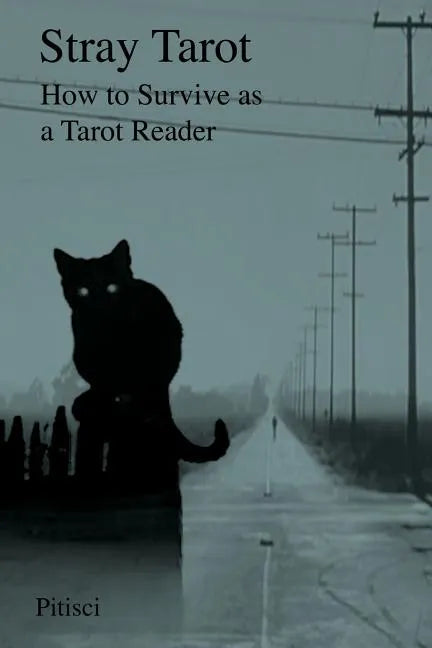 Stray Tarot: How to Survive as a Tarot Reader - Paperback