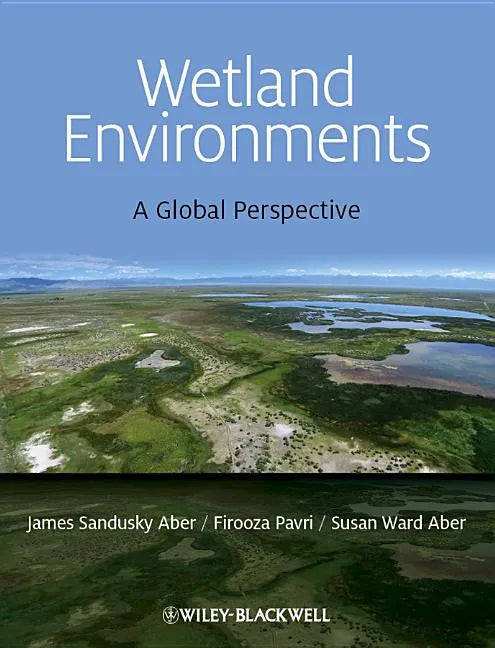 Wetland Environments - A Global Perspective - Paperback