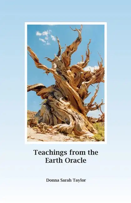 Teachings from the Earth Oracle: Earth Centered Spirituality - Paperback