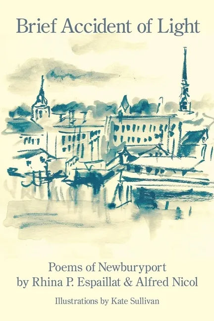Brief Accident of Light - Paperback