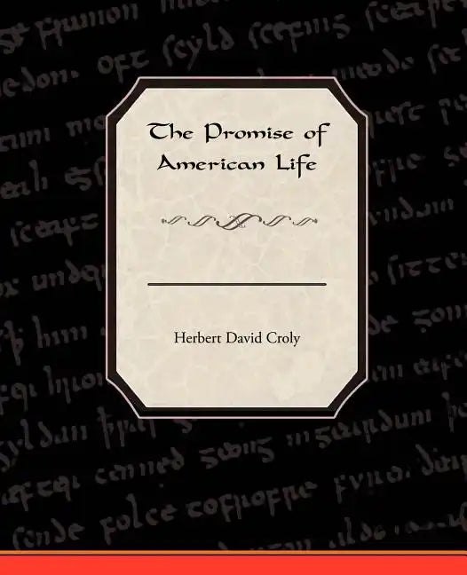 The Promise Of American Life - Paperback