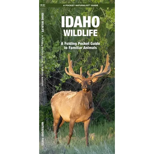 Idaho Wildlife: A Folding Pocket Guide to Familiar Animals - Paperback