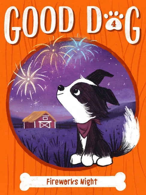 Fireworks Night - Hardcover