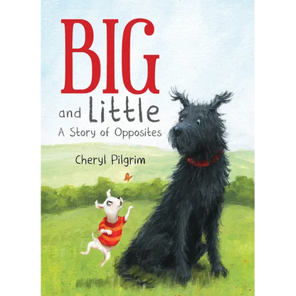 Big and Little: A Story of Opposites - Hardcover