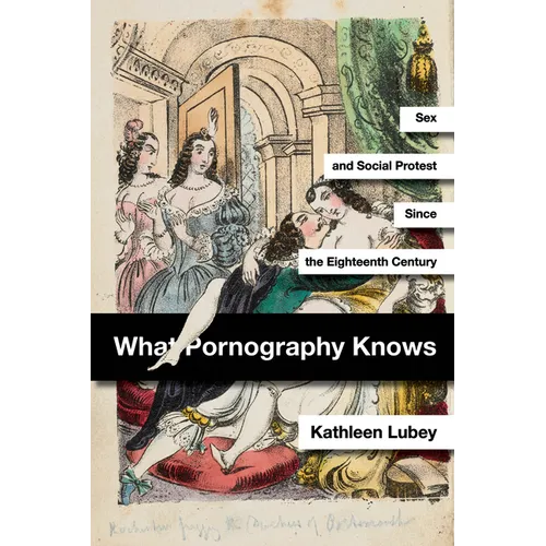 What Pornography Knows: Sex and Social Protest Since the Eighteenth Century - Hardcover