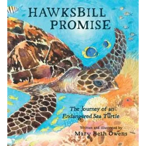 Hawksbill Promise: The Journey of an Endangered Sea Turtle - Hardcover