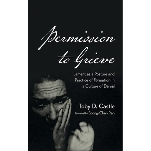 Permission to Grieve - Hardcover